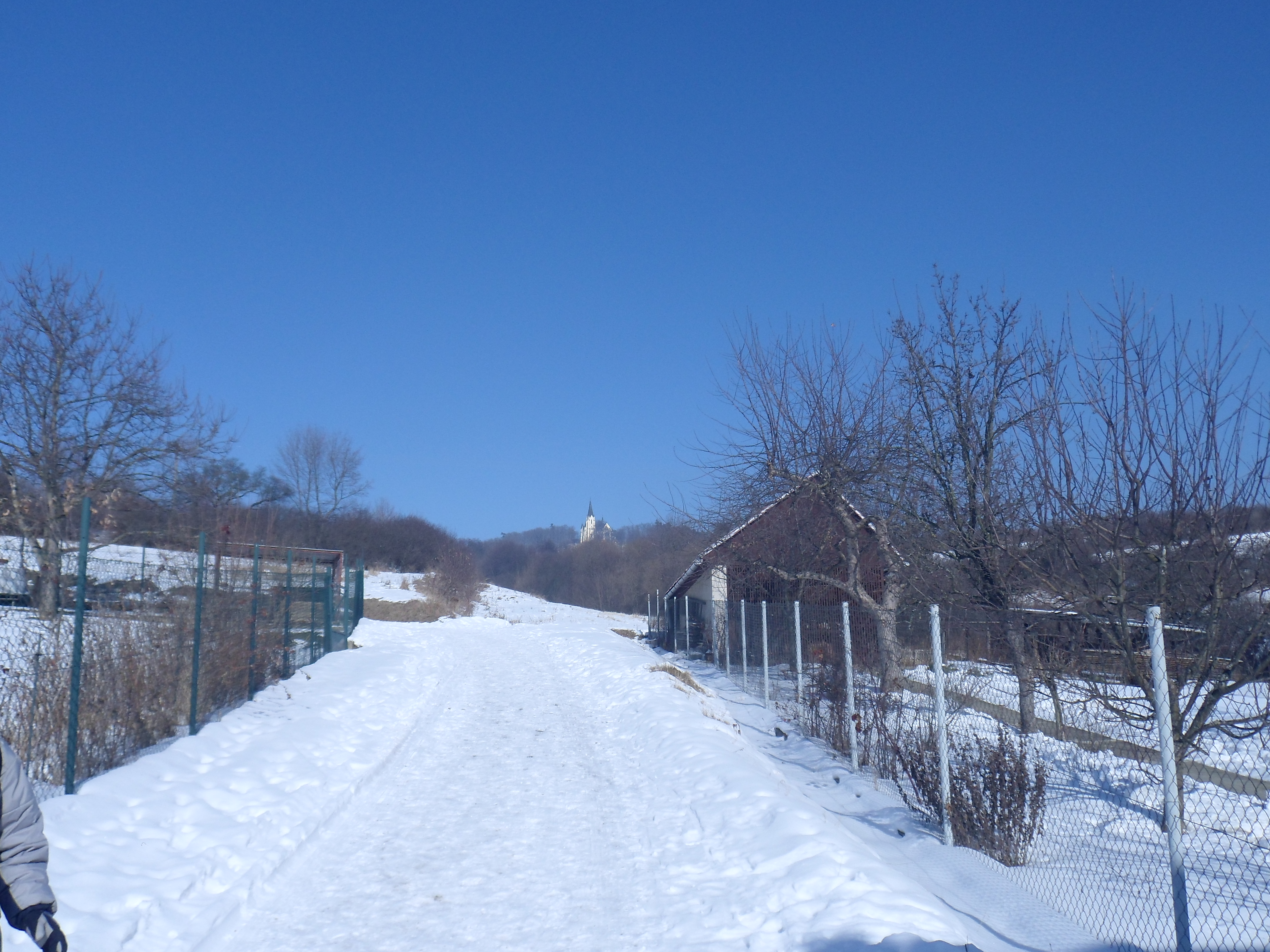 SAM_0363
