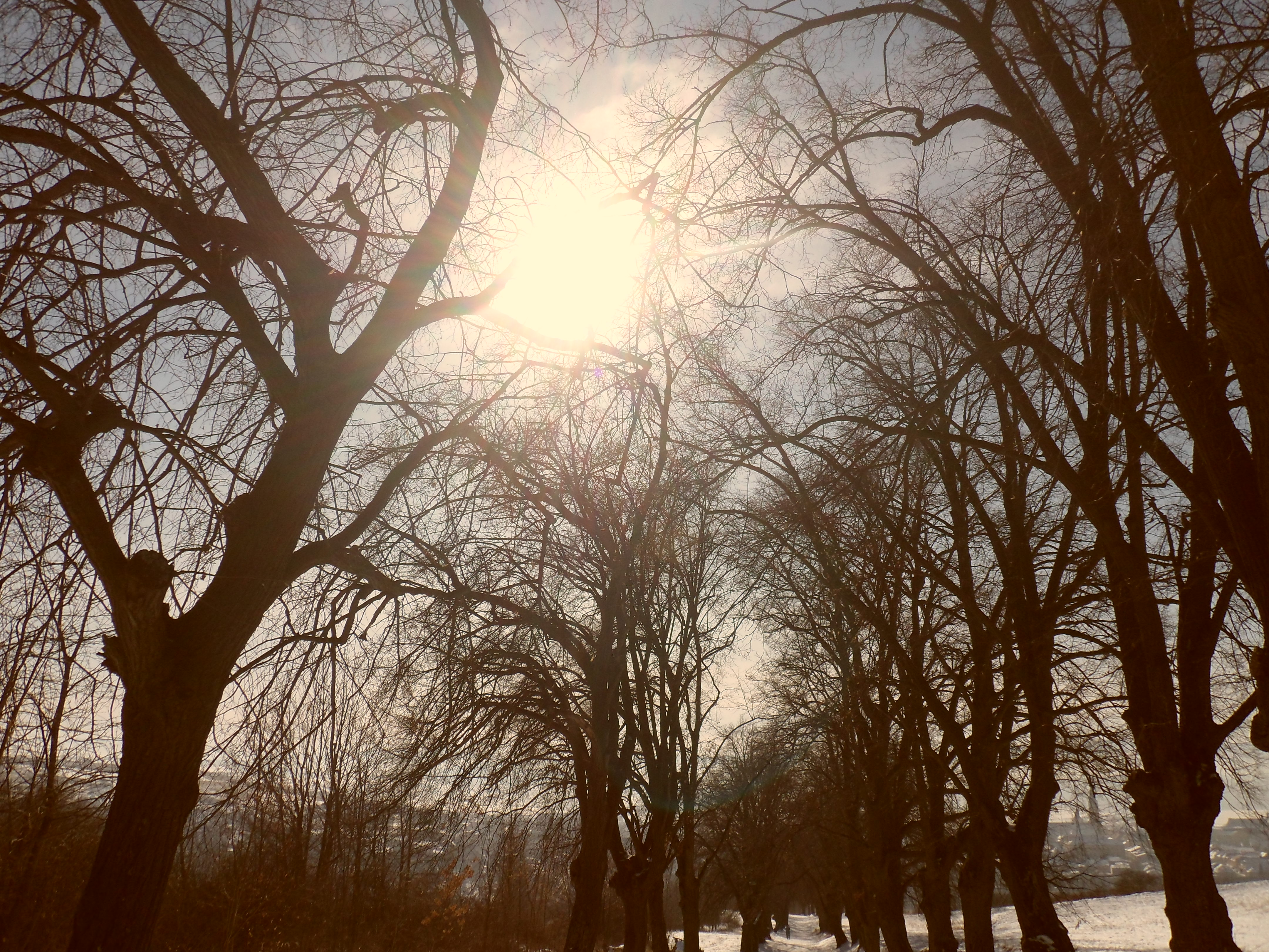 SAM_0367
