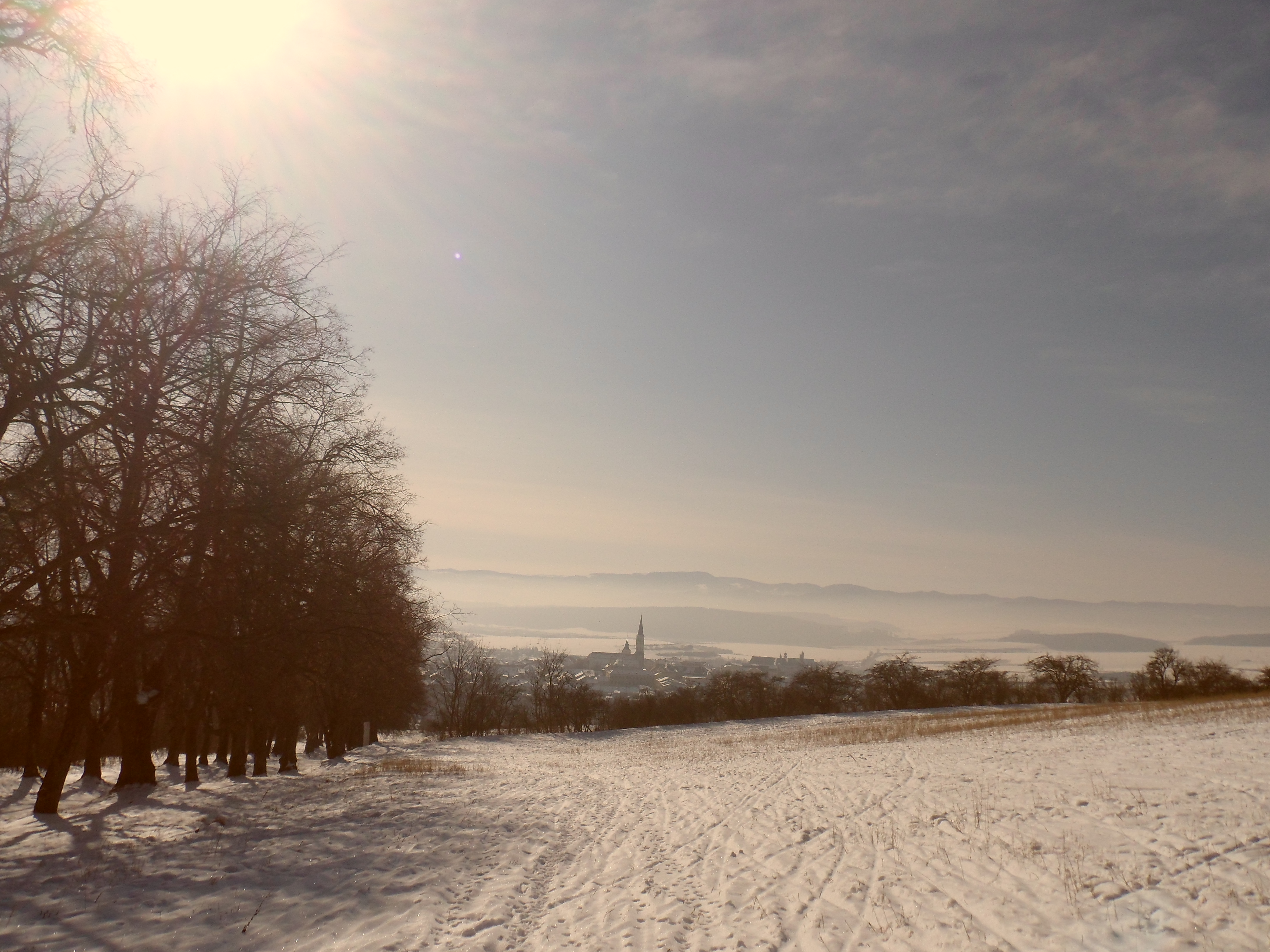 SAM_0372
