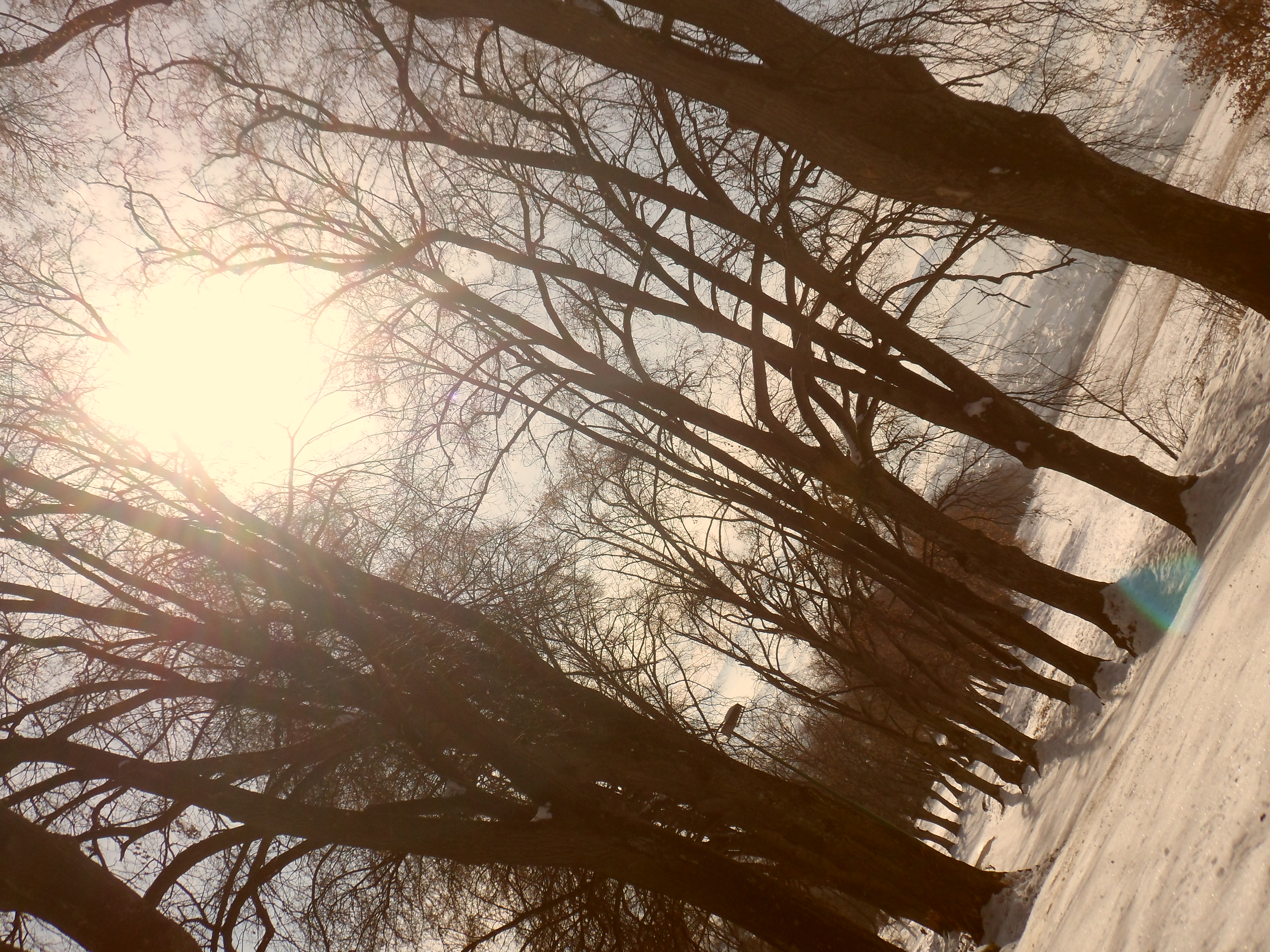 SAM_0392