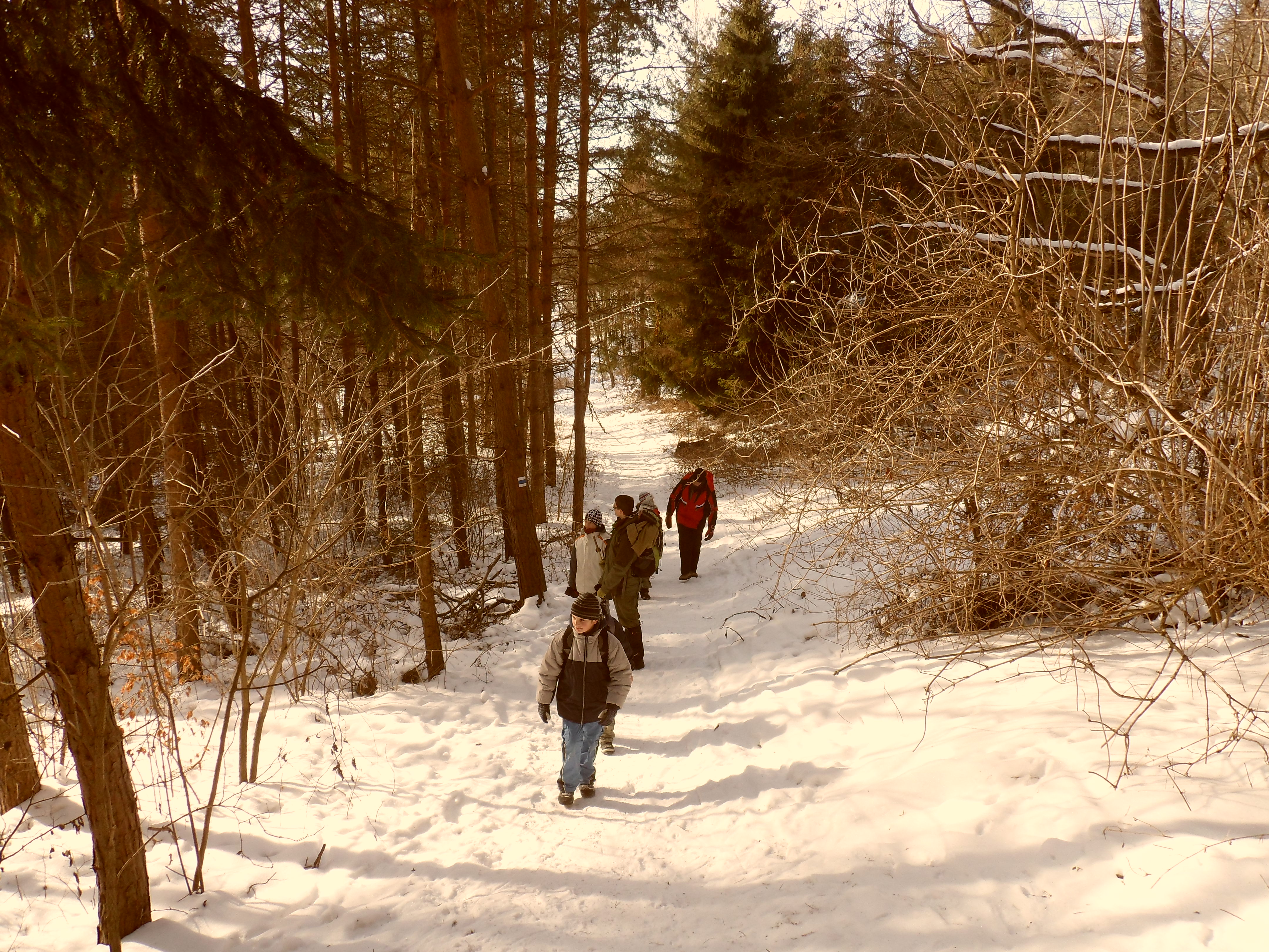 SAM_0411