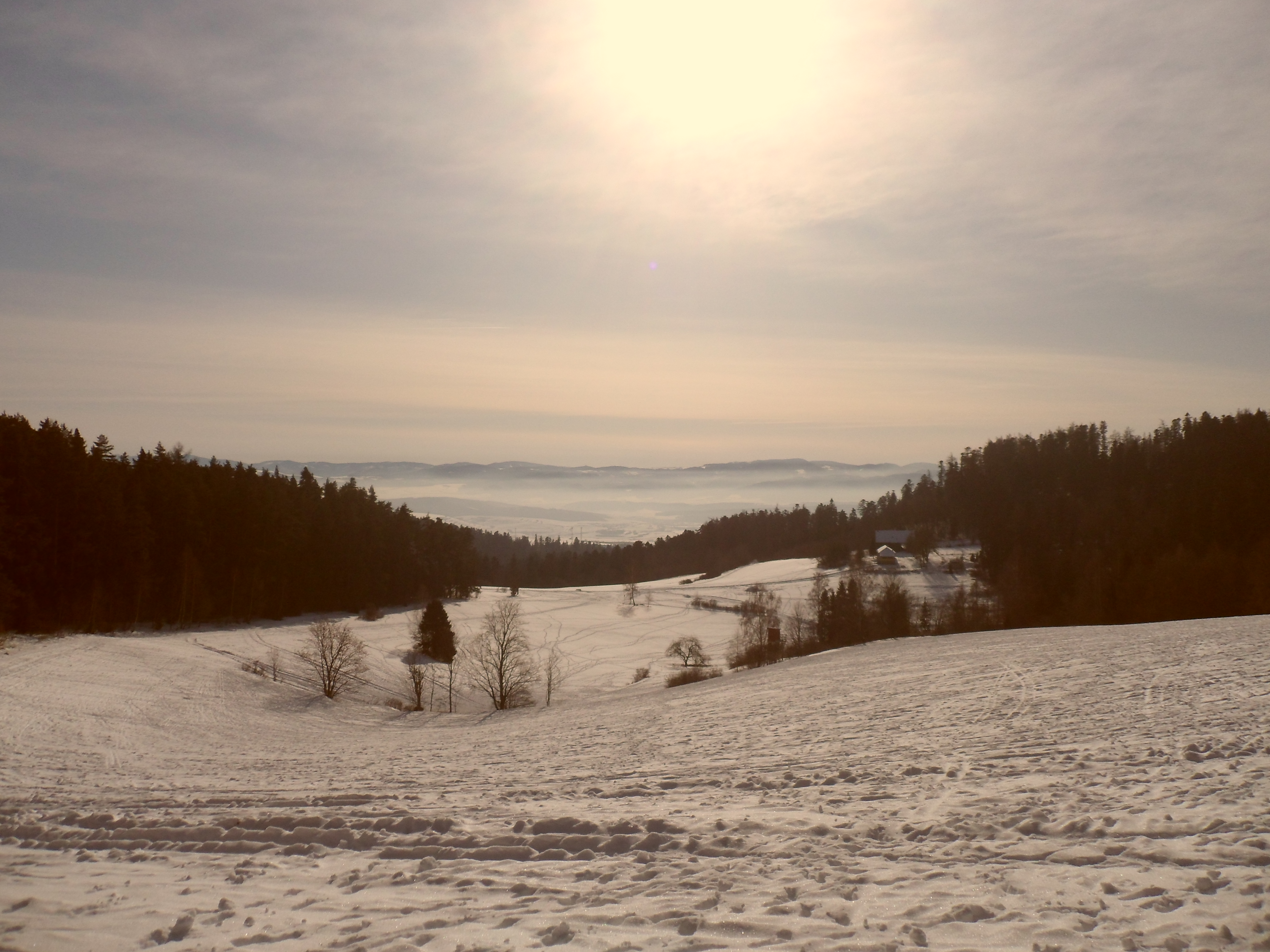SAM_0425