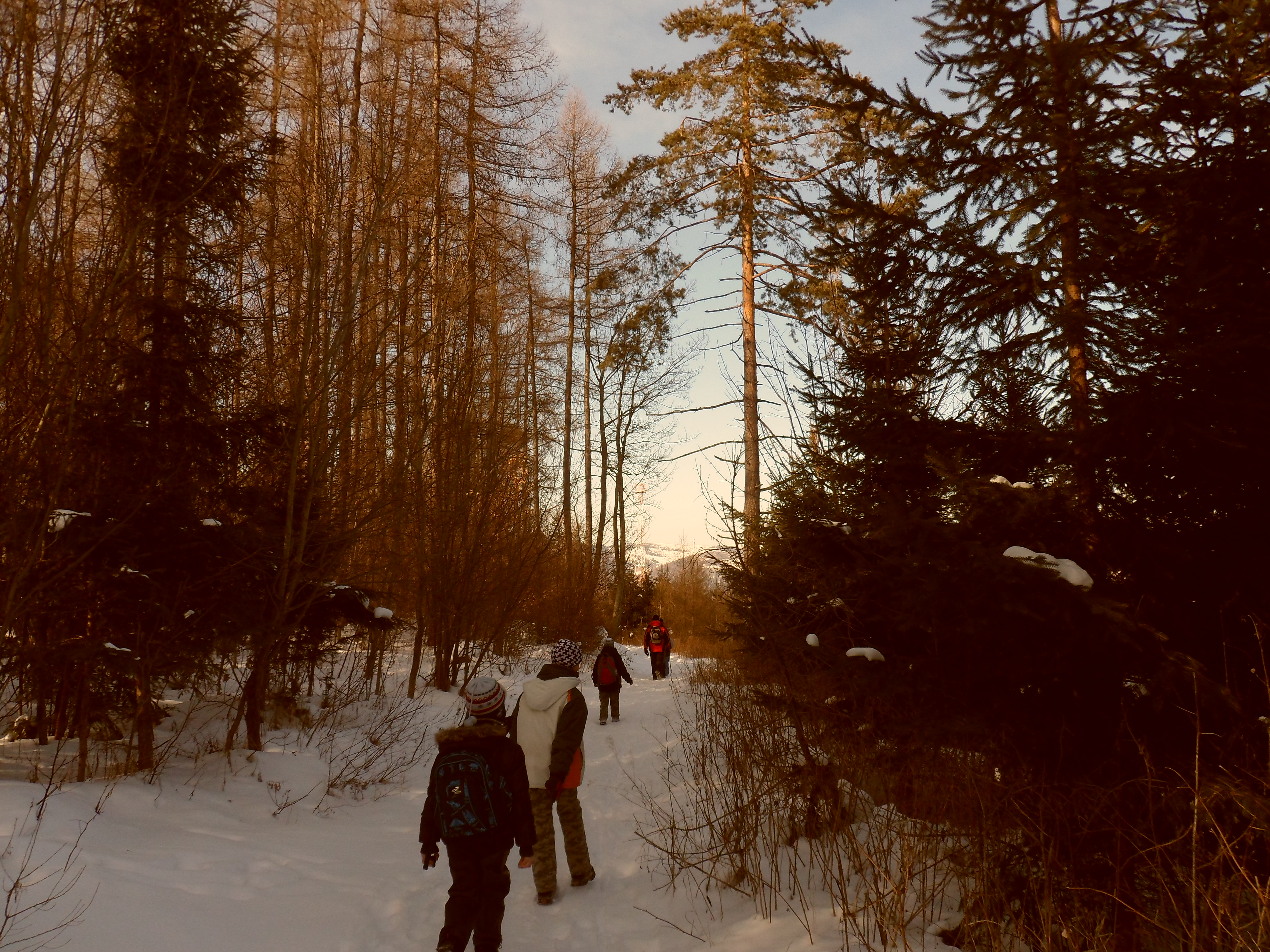 SAM_0435