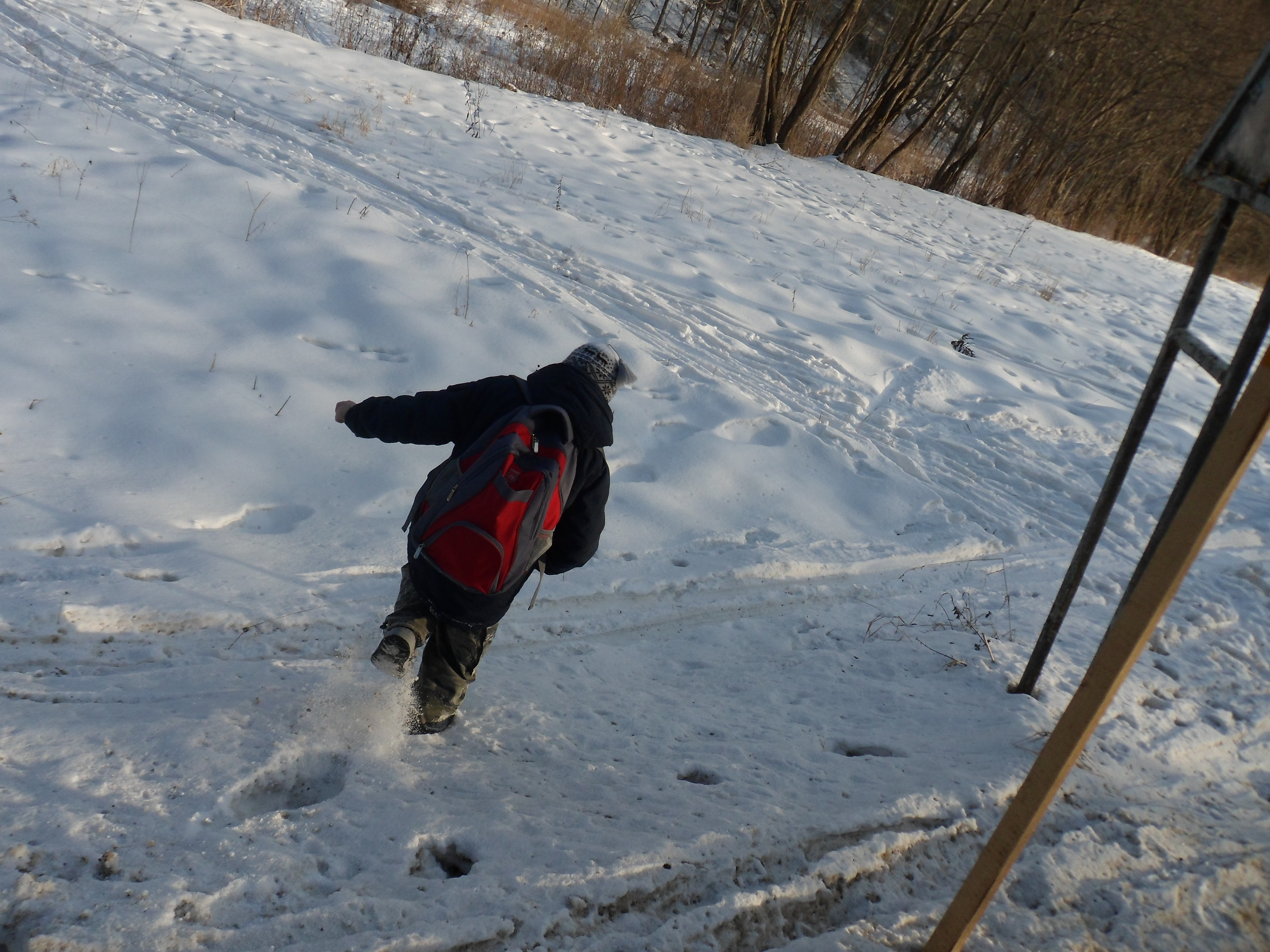SAM_0491