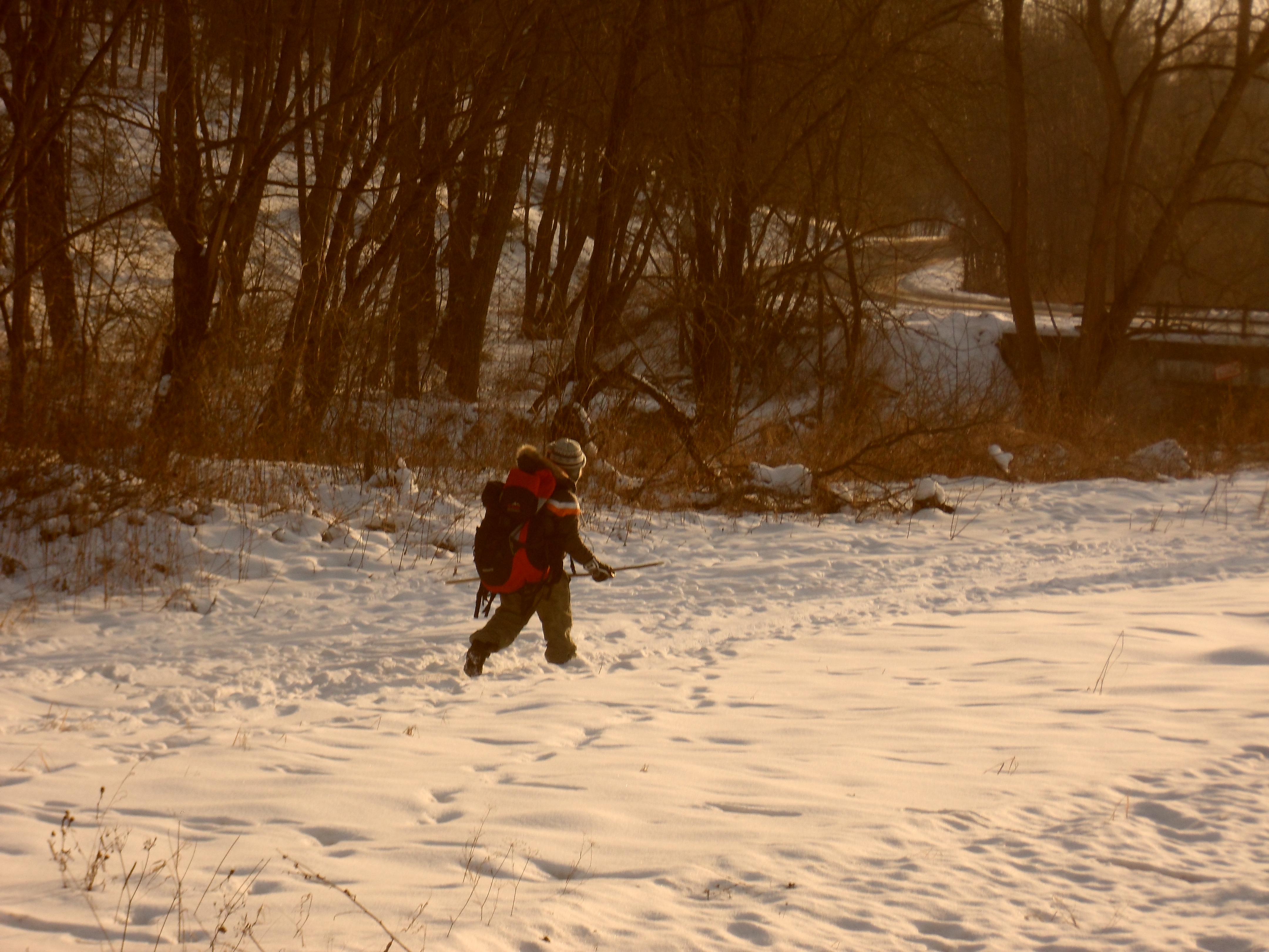 SAM_0527
