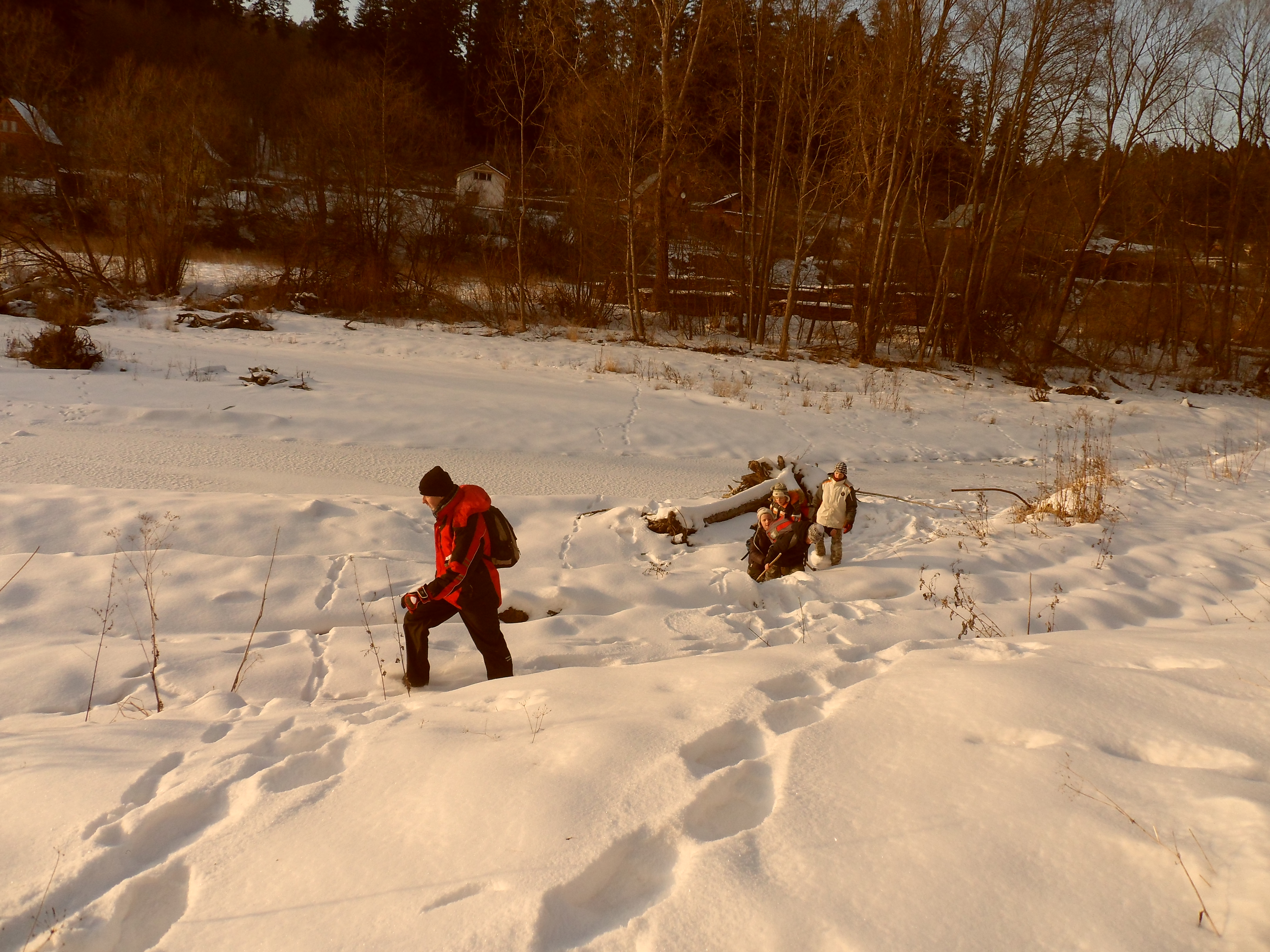 SAM_0545