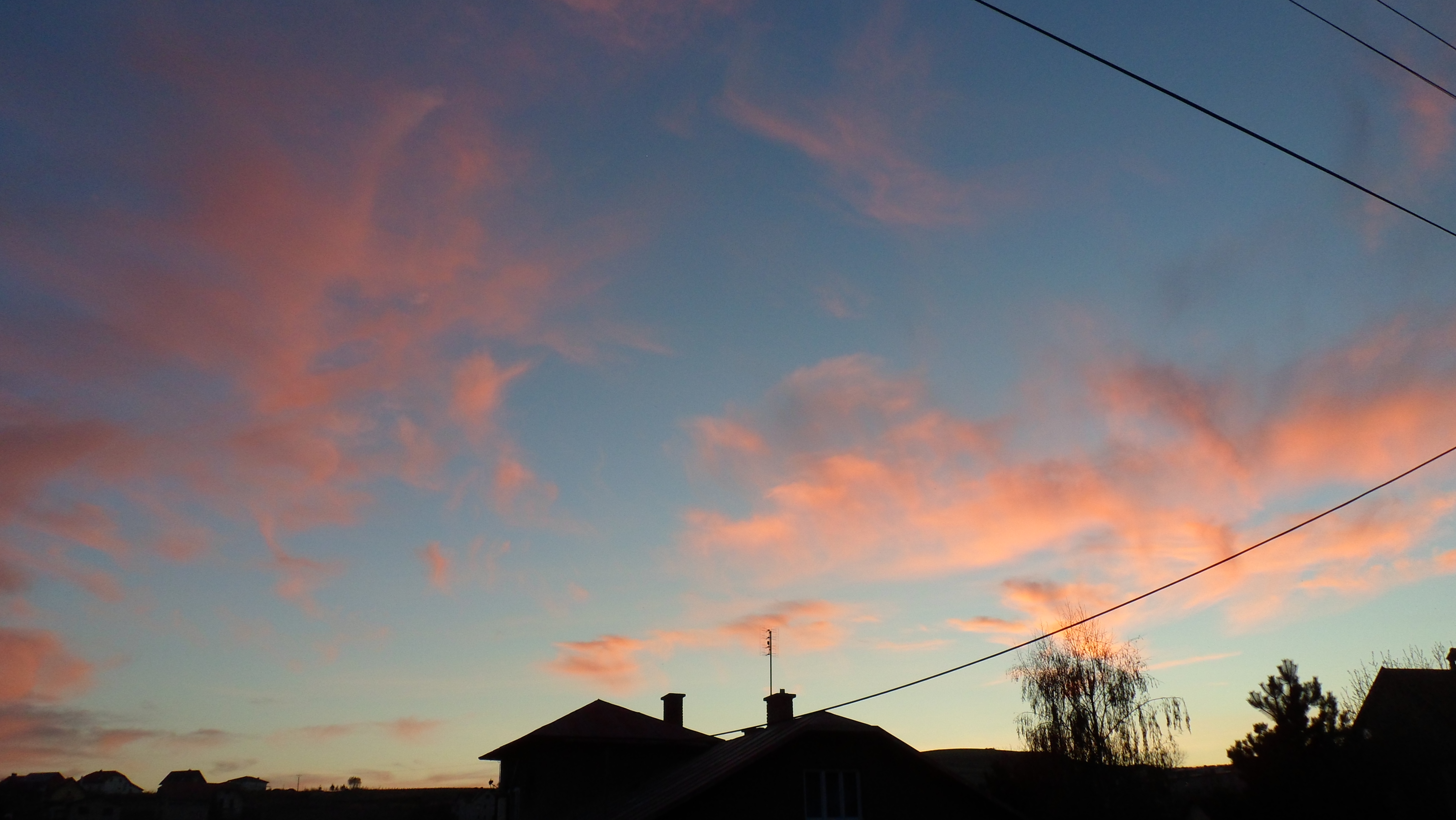 SAM_1611